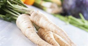 Parsley Root